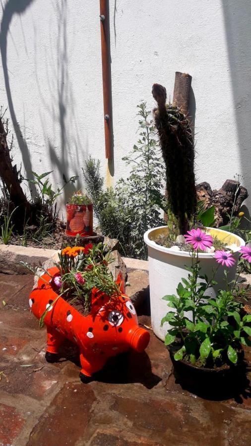 Shekinah Hotel Villa Cura Brochero Exterior foto